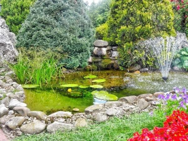 Skalny Apartamenty, Pokoje 奥格罗杰涅茨 外观 照片
